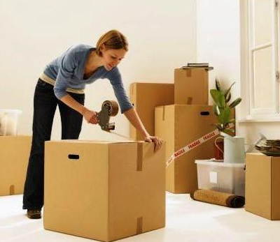 Mudanças e Transportes